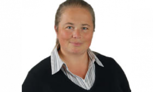 Qattiq mushukni sikadi